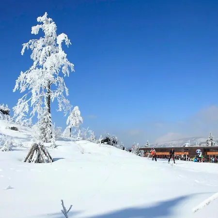 Forsthaus - Ruheoase Nahe Klaffer Apartamento Klaffer am Hochficht