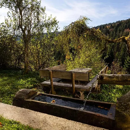 Forsthaus - Ruheoase Nahe Klaffer * Klaffer am Hochficht